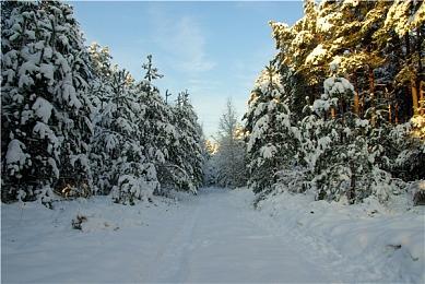 《阿凡达：潘多拉边境》官方第三人称更新宣传片