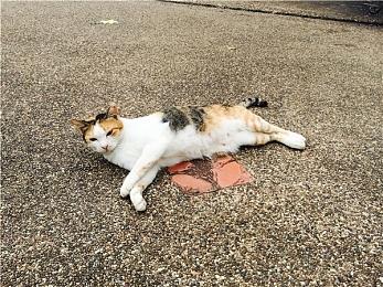 Outerloop工作室开发新作 与《80天环游地球》作者合作